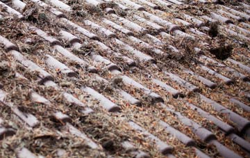 Sandhoe roof cleaning companies